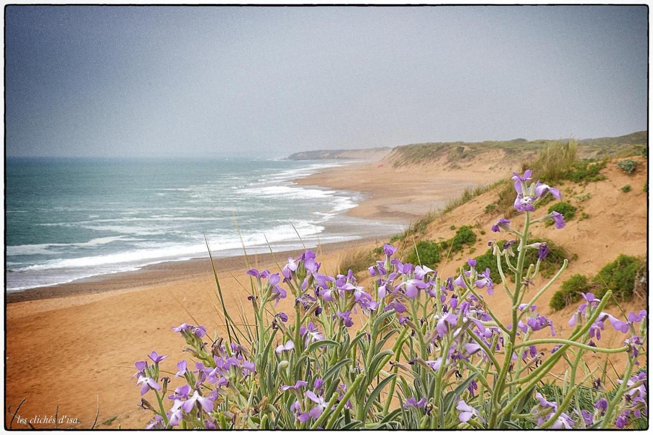 La Maison Cilaos - Proche Mer เลส์ซาบล์-โดล็อนน์ ภายนอก รูปภาพ